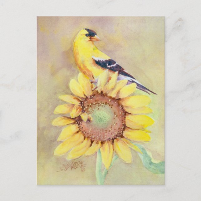 GOLDFINCH AND SUNFLOWER by SHARON SHARPE Vykort (Framsida)