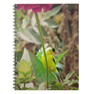 Goldfinch Anteckningsbok Med Spiral