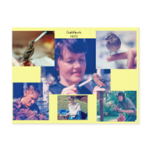 Goldfinch-artikel 1973 vykort