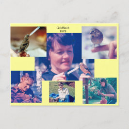 Goldfinch-artikel 1973 vykort