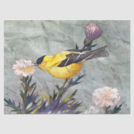 Goldfinch Bird Decoupage-papper för vävnad