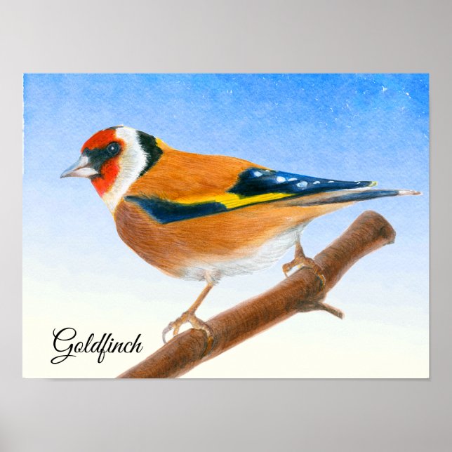 Goldfinch Bird Watercolor Painting Poster (Framsidan)