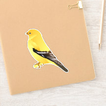 Goldfinch-dekal