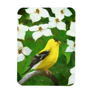 Goldfinch-färgning - Cute Original Hund Art Magnet