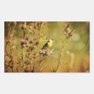 Goldfinch-foto Rektangulärt Klistermärke