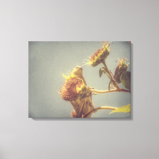 Goldfinch Grunge Canvastryck (Framsida)