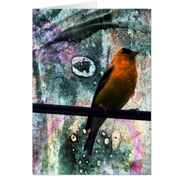 Goldfinch Grunge Hälsningskort (Framsidan)
