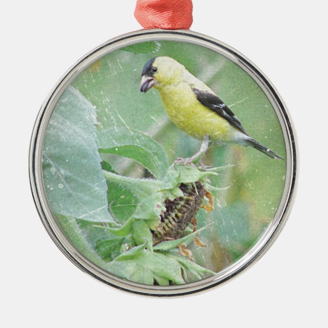 Goldfinch Grunge Julgransprydnad Metall (Framsidan)