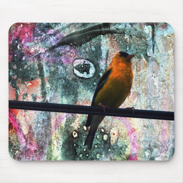 Goldfinch Grunge Musmatta (Framsidan)