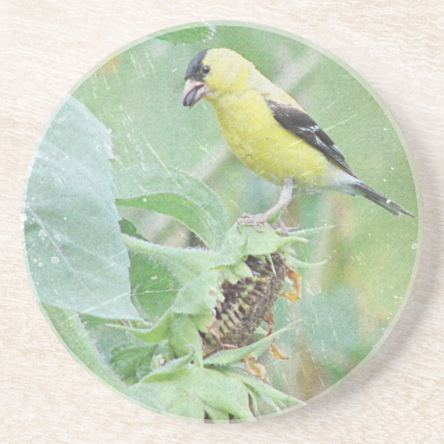 Goldfinch Grunge Underlägg (Framsidan)