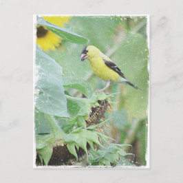 Goldfinch Grunge Vykort