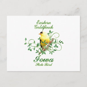 Goldfinch Iowa State Bird Vykort