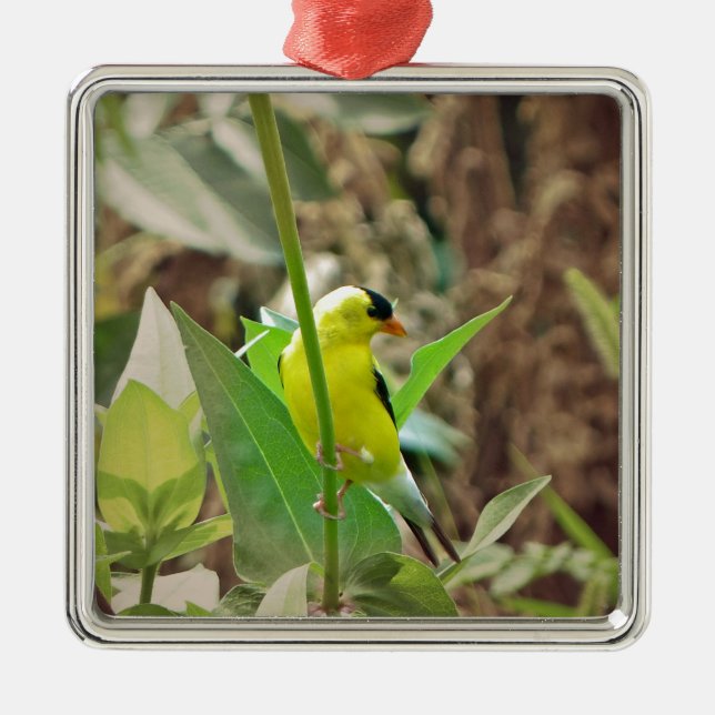 Goldfinch Julgransprydnad Metall (Framsidan)