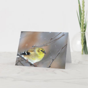 Goldfinch Kort