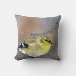 Goldfinch Kudde