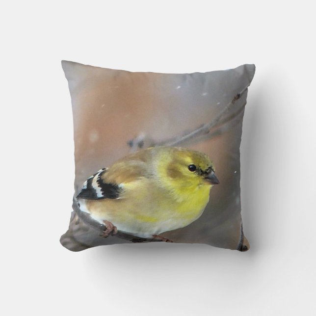 Goldfinch Kudde (Framsida)