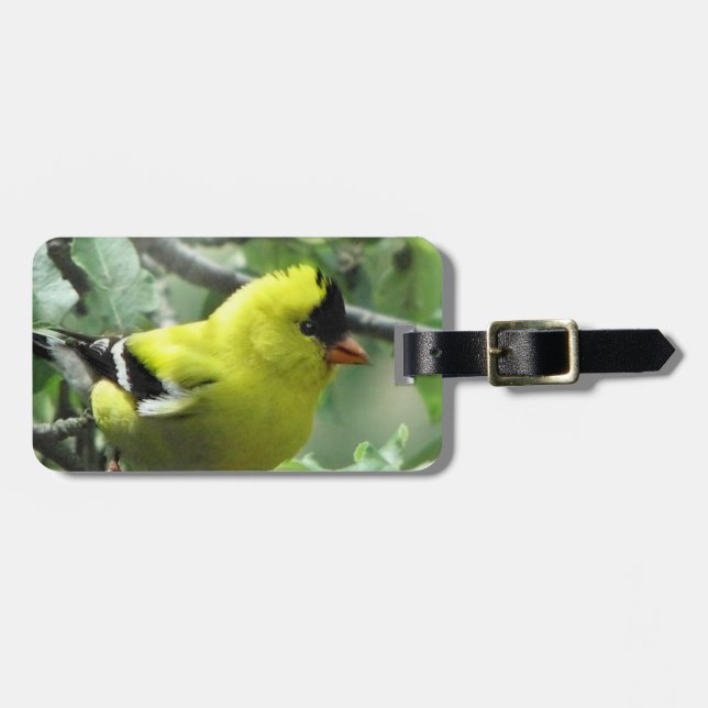 Goldfinch Luggage Tag Bagagebricka (Horisontell Framsida)