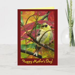 Goldfinch Mors dag Kort