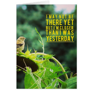 Goldfinch närmare än jag var i går OBS kort
