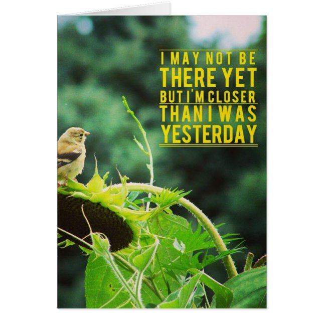 Goldfinch närmare än jag var i går OBS kort (Framsidan)