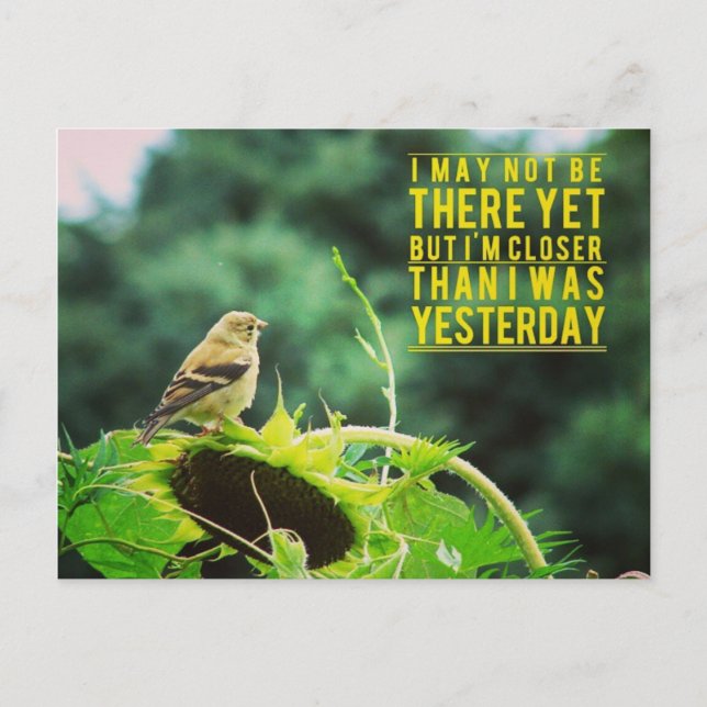 Goldfinch närmare än jag var i går vykort (Framsida)