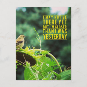 Goldfinch närmare än jag var i går vykort