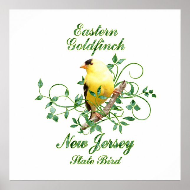 Goldfinch New jersey State Bird Poster (Framsidan)