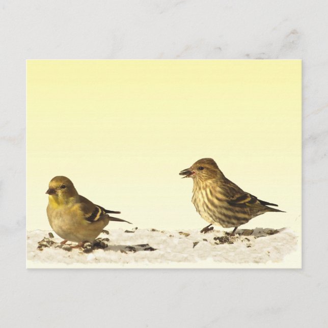 Goldfinch och Gräs Siskin Vykort (Framsida)