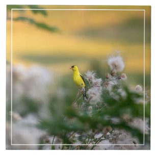 Goldfinch- och istelhöst kakelplatta