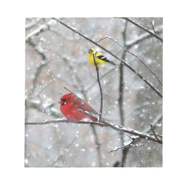 Goldfinch och kardinal anteckningsblock (Framsida)