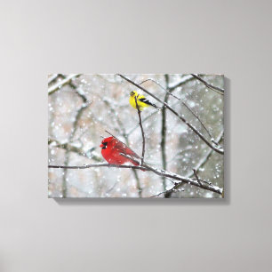 Goldfinch och kardinal canvastryck