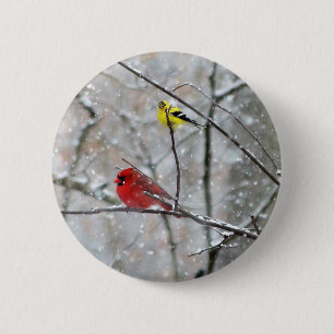 Goldfinch och kardinal knapp