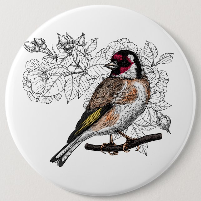 Goldfinch och ro knapp (Framsida)