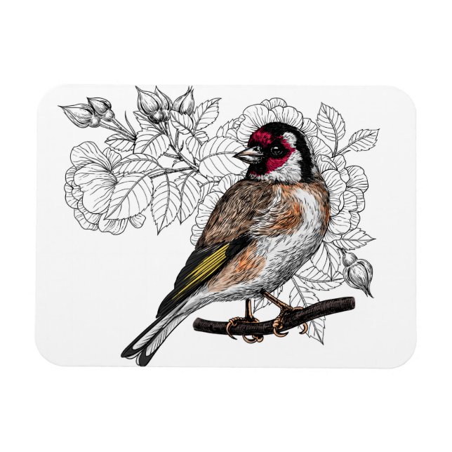 Goldfinch och ro magnet (Horisontell)