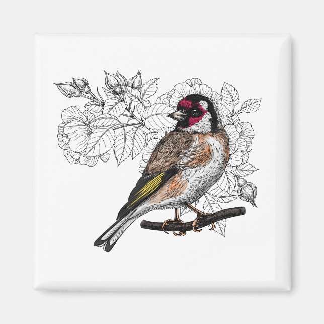 Goldfinch och ro magnet (Framsidan)