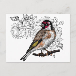 Goldfinch och ro vykort