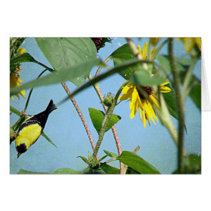 Goldfinch och solblommor hälsningskort
