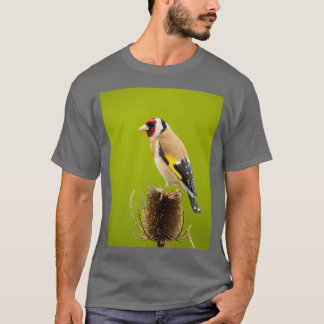 Goldfinch on teasel t shirt