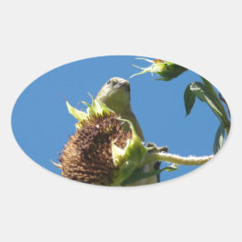 Goldfinch Ovalt Klistermärke