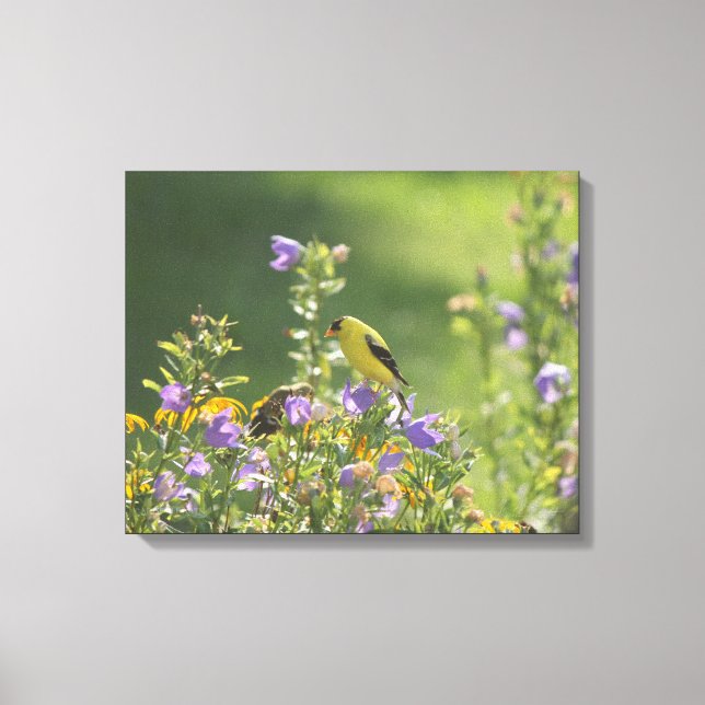 Goldfinch på en Harebell Flower Canvastryck (Framsida)