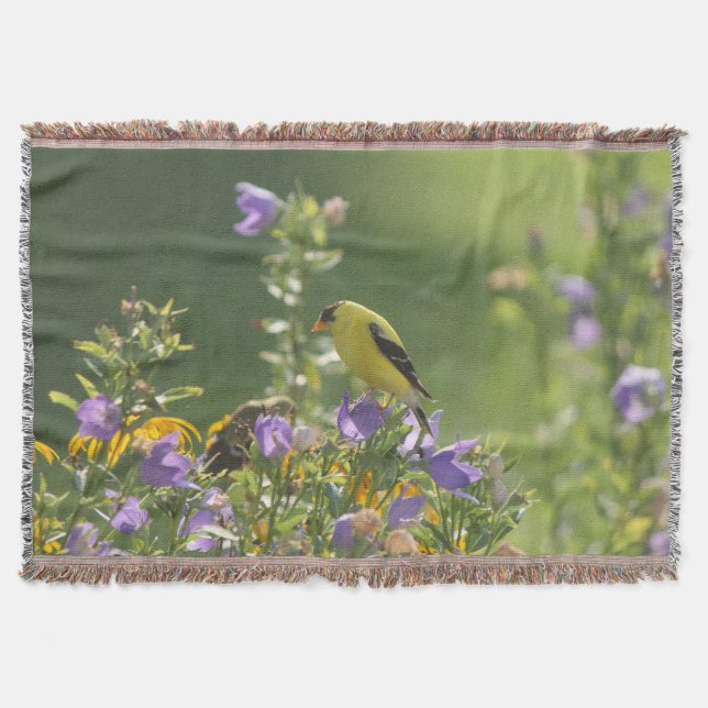 Goldfinch på en Harebell Flower Filt (Framsidan)