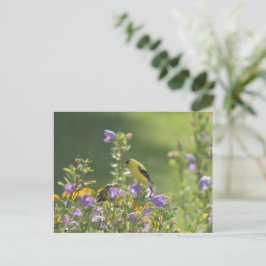 Goldfinch på en Harebell Flower Vykort