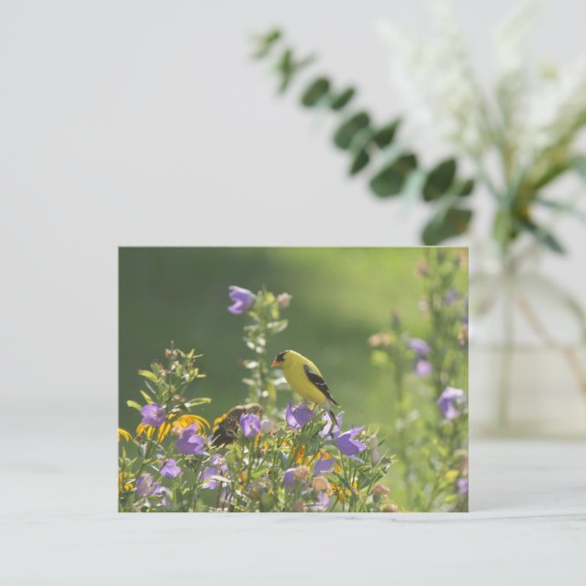 Goldfinch på en Harebell Flower Vykort (Stående Fram)