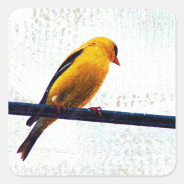 Goldfinch på en strömledning fyrkantigt klistermärke