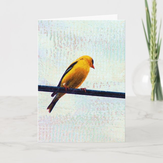 Goldfinch på en strömledning kort (Framsida)