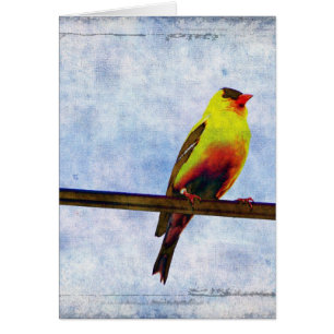 Goldfinch på Power Line Hälsningskort