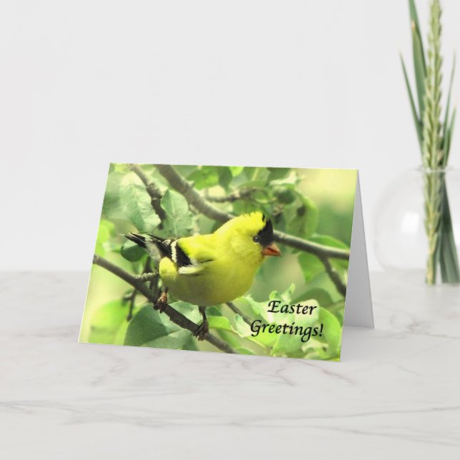 Goldfinch Påsk-kort Helgkort (Framsida)