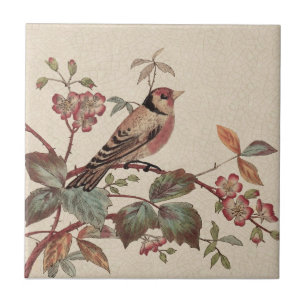 Goldfinch Polychrome Staffordshire Repro Antique Kakelplatta