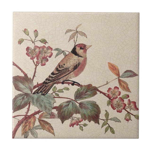 Goldfinch Polychrome Staffordshire Repro Antique Kakelplatta (Framsidan)