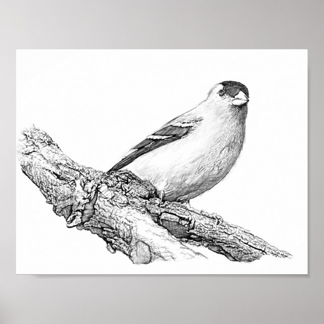 Goldfinch Poster (Framsidan)